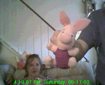 piglet